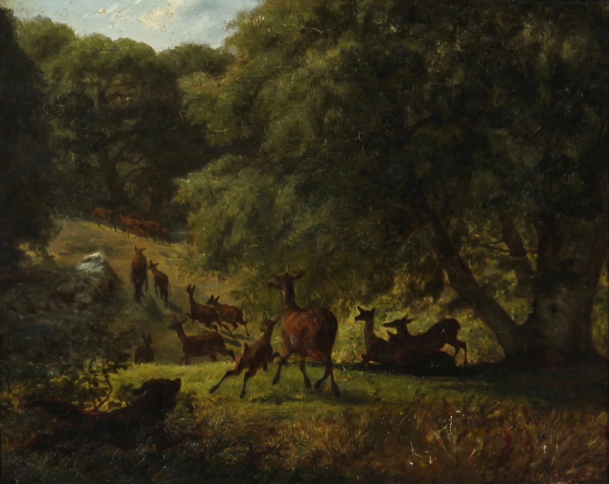 Un cane spaventa una mandria di cervi nel Deer Park, 1861